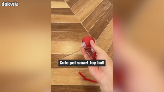 Viral Rolling Ball,Interactive Cat Ball Toy