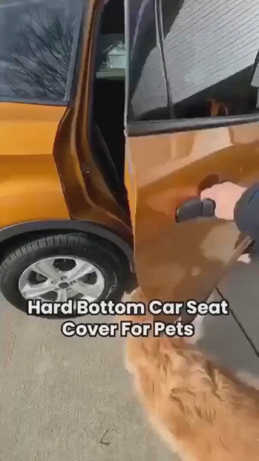 Dog Car Seat